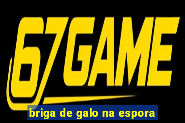 briga de galo na espora